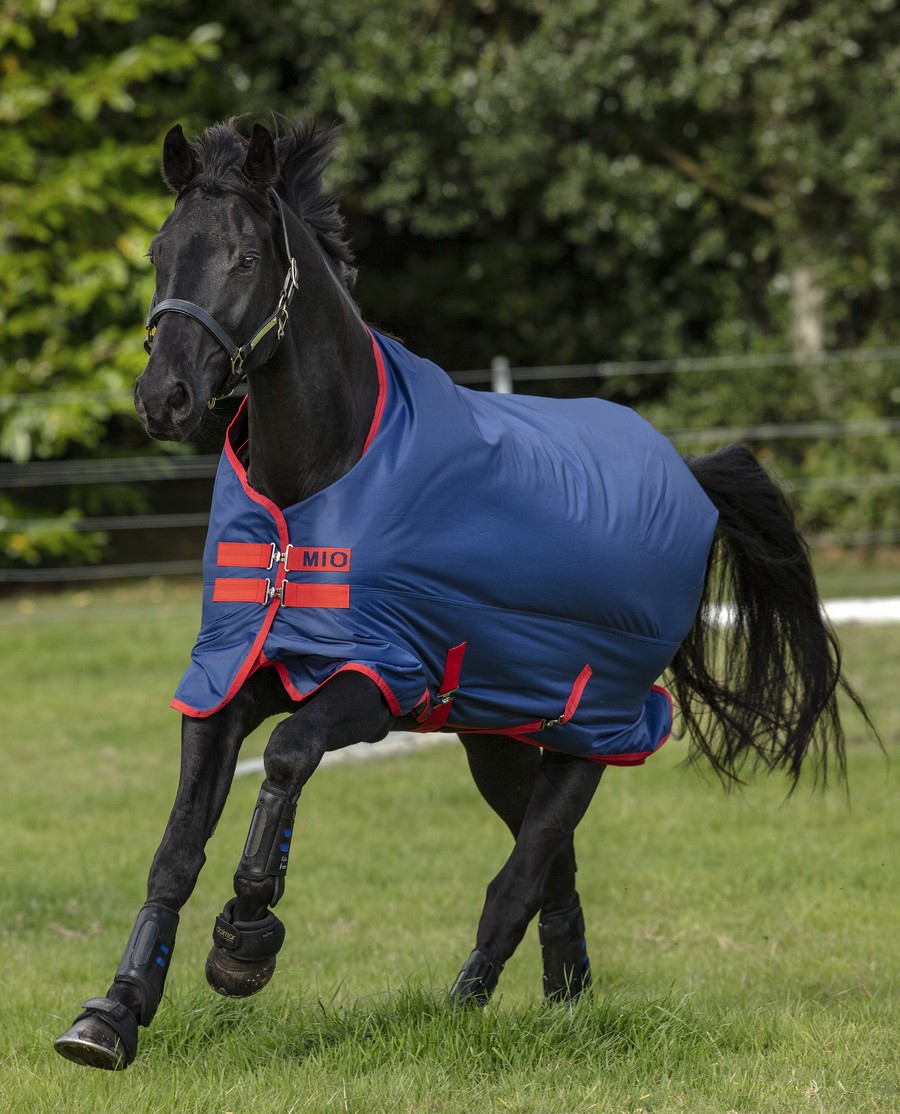 Mio Turnout medium/ 200G från Horseware-130-Dark Blue with Dark Blue and Red