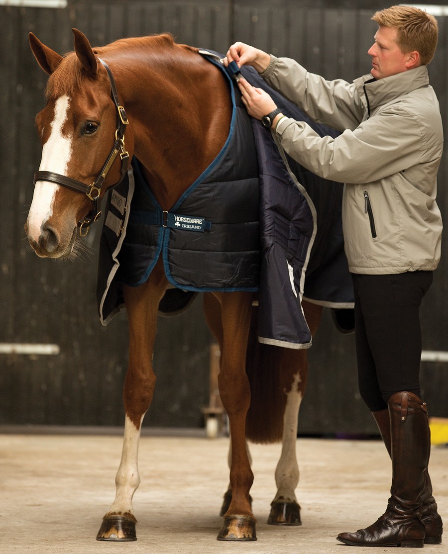 Horseware Liner/ 300G-130