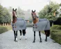 Fleece Rug Heavy Stripes från Kentucky Horsewear