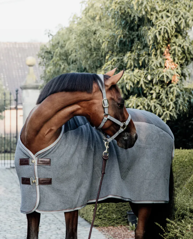 Fleece Rug Heavy Stripes från Kentucky Horsewear